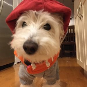 Meet your Posher, Kris